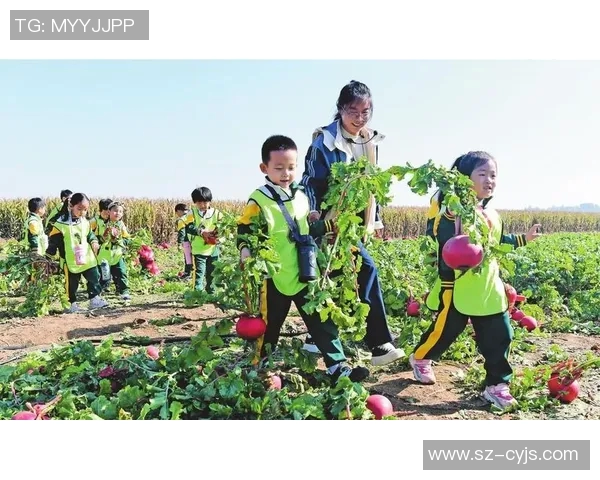 果园采摘乐趣体验之旅 感受自然丰收的喜悦与美好时光