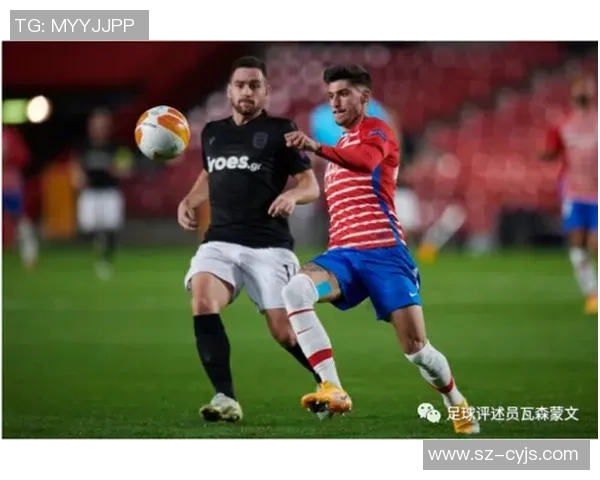 西甲欧联资格联赛排名与赛季总结